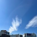 디카프리 완산 이미지