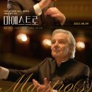 마에스트로 이미지