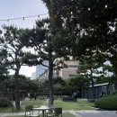 파라다이스맥주 | 부산 해운대 파라다이스 야외 맥주 더 비치 가든 아기랑 방문후기
