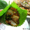 오징어먹는날