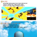 충남대학교 정심화국제문화회관 백마홀 티스토리