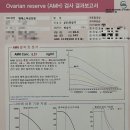 임신준비기록: 여자 난임검사 후기 2탄💪(청주엠에스여성의원/AMH수치/비타민D/프로락틴/성선호르몬...