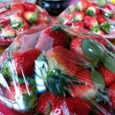 숙이네농장 이미지