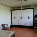 송해면-2 이미지