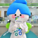 장성 한스경제