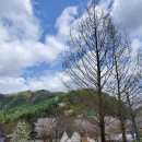 은석캠핑장 이미지