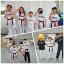 T-master 태권도 이미지