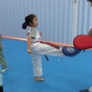 고려 미래 태권도장 이미지