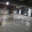 면역자연치유센터 이미지