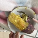 앙꼬맘마 | 01. 하루씩 살기