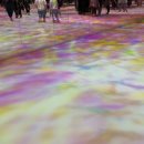 스트리트랩(주) | 도쿄 꼭 가볼만한곳 팀랩 플래닛 도쿄 예매 가격 비교 할인팁