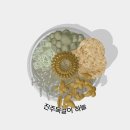 2018 어린이책놀이터 - 너나들이 ''''자연을 닮은 그림책'''' | 서울 아이랑 가볼만한곳 국립중앙박물관 어린이박물관 예약 실내 체험