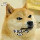 루 이미지