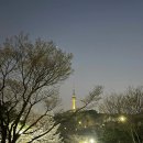 남산골숯불갈비 | [충무로 뚱보돼지갈비] 부드럽고 달달한 돼지갈비 노포맛집