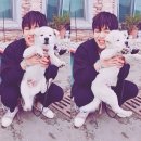 태형 이미지
