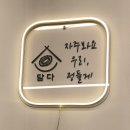 금진2리 | [담다] 경북 영덕 여행 핫플 전복맛집 내돈내산 3번째 간 후기