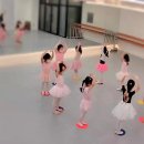플레르발레학원 이미지