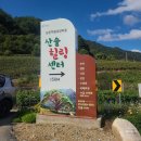 골든파인펜션 이미지