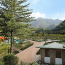 단양배드민턴장 이미지