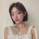 복스헤어