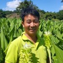 차를좋아하는사람들 이미지