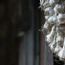 고향생각 이미지