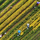 국치마을 이미지