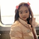 (주)코드블루 | 표준치료 뜻 암 치료 후 국립암센터 자궁 mri