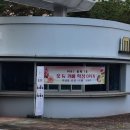 퀸스플라워 이미지