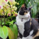 구성꽃백화점 이미지