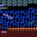 드래곤 FIGHTER 이미지