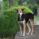 물빛동물병원 이미지