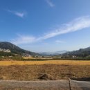 상룡농장 이미지