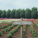 국철농장 이미지