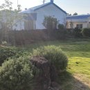 빌라배알로 이미지