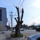 원주시노인종합복지관 문막분관 | 원주시노인종합복지관 문막분관 임시 휴관