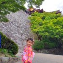 유나오비 이미지