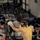 고트 복싱 이미지