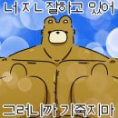 버블리 네이버블로그