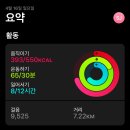 네일라움 이미지