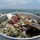 감포해산물 이미지