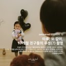 senmenval EPISODE 12/ 따로, 또 같이. 17개월 친구들의 우정(?) 촬영