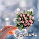 다잘