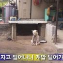 장*상