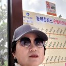 불목마을 이미지