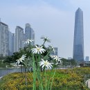 신선식탁 송도센트럴파크점 이미지