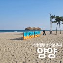 후정해수욕장 행정봉사실 | 강원도 양양 낙산 해변 달빛 모닥불 축제 기본 정보 예약