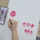 색연필 꽃그림, 보타니컬 아트 | 보태니컬아트자격증반 회원들의 그림모음zip/수원용인그림자격증