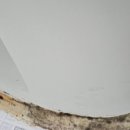 도봉-도봉-서울도봉-2212 이미지