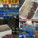 대천수산시장 자연산 광어 회포장 추천 32호 신일수산